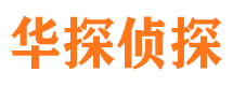 砀山调查公司